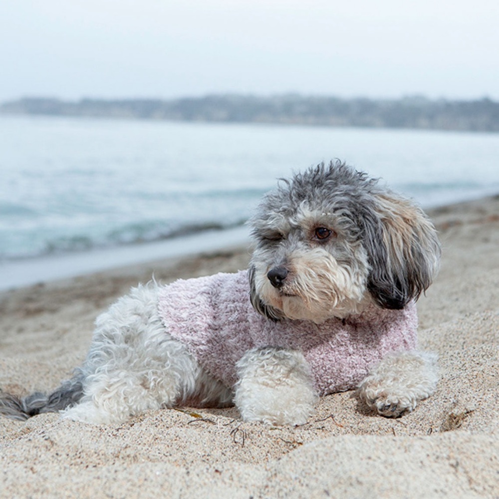 Barefoot Dreams CozyChic Pet Sweater